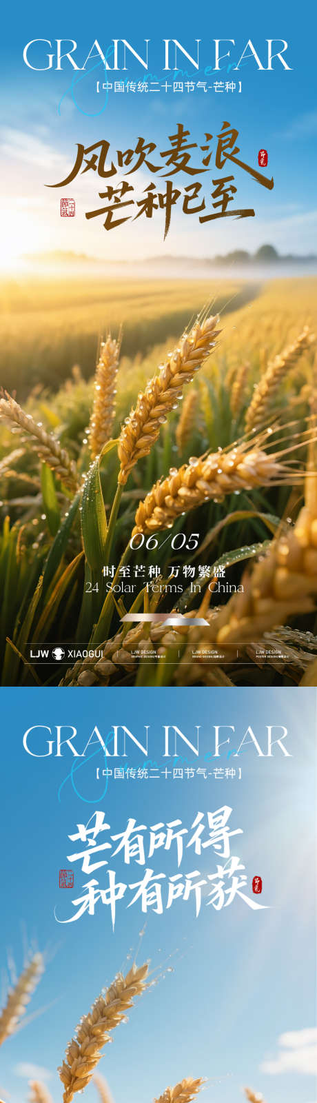 地产芒种节气海报_源文件下载_PSD格式_1125X4872像素-小麦,稻田,芒种-作品编号:2025052610367244-志设-zs9.com