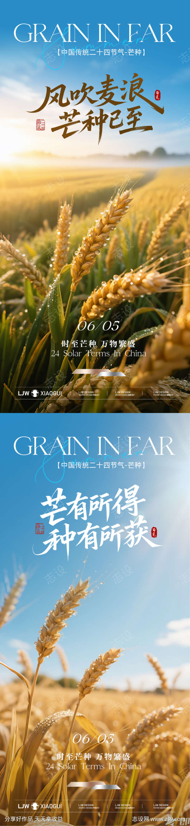 地产芒种节气海报