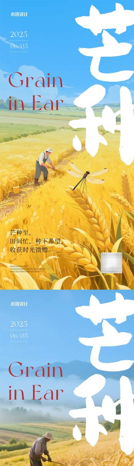 芒种节气海报_源文件下载_PSD格式_900X3894像素-海报,质感,丰收-作品编号:2025052614279026-志设-zs9.com