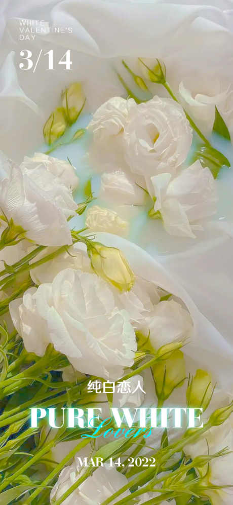 情人节夜店_源文件下载_PSD格式_658X1426像素-甜蜜,爱情,520-作品编号:2025062009519507-志设-zs9.com
