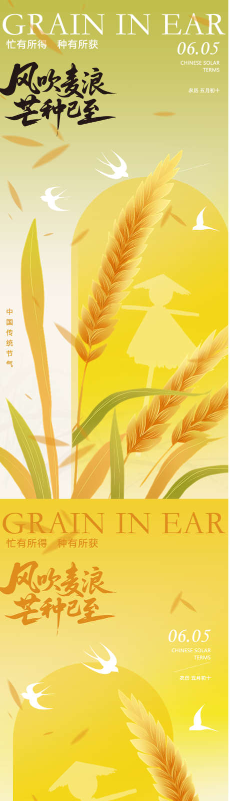 芒种节气海报设计_源文件下载_PSD格式_1080X4680像素-海报,夏季,芒种-作品编号:2025052708395623-志设-zs9.com