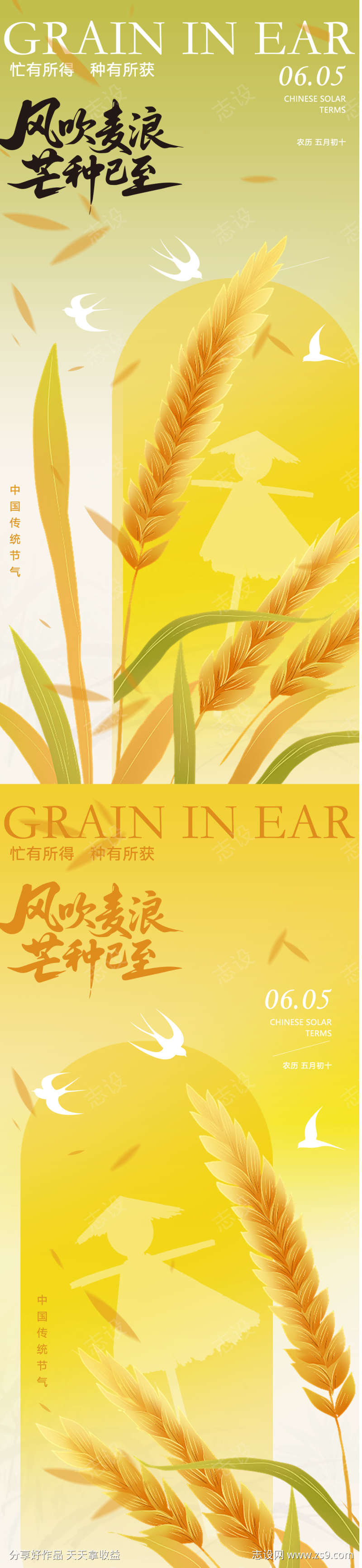 芒种节气海报设计