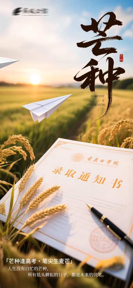 芒种高考传统_源文件下载_PSD格式_1460X3163像素-加油,纸飞机,高考-作品编号:2025052711202221-志设-zs9.com