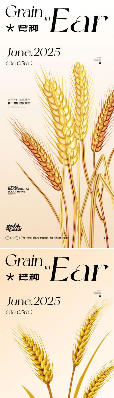 芒种节气海报_源文件下载_CDR格式_1081X4692像素-麦穗,金黄,芒种-作品编号:2025052710192322-志设-zs9.com