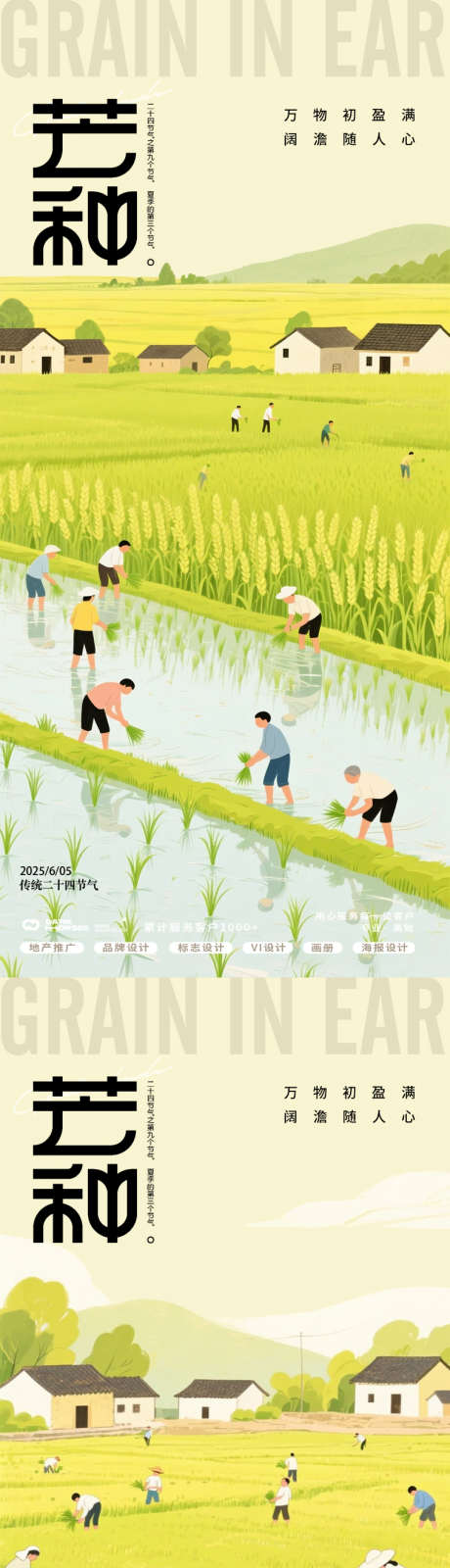 芒种24节气海报_源文件下载_PSD格式_762X3304像素-简约,插画,田地-作品编号:2025060111224579-志设-zs9.com