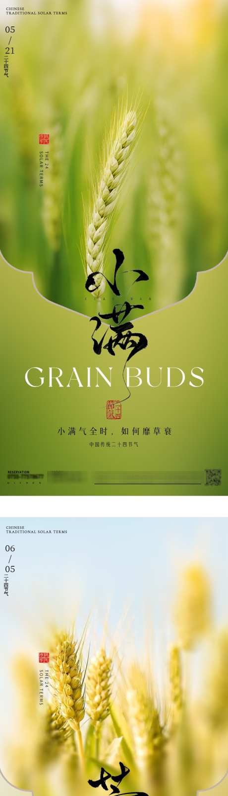二十四节气小满芒种海报_源文件下载_PSD格式_1080X4780像素-黄色,绿色,麦穗-作品编号:2025052815109536-志设-zs9.com