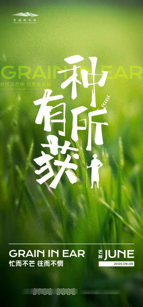 芒种节气海报_源文件下载_AI格式_1333X2855像素-收割,劳作,芒种-作品编号:2025052810075130-志设-zs9.com