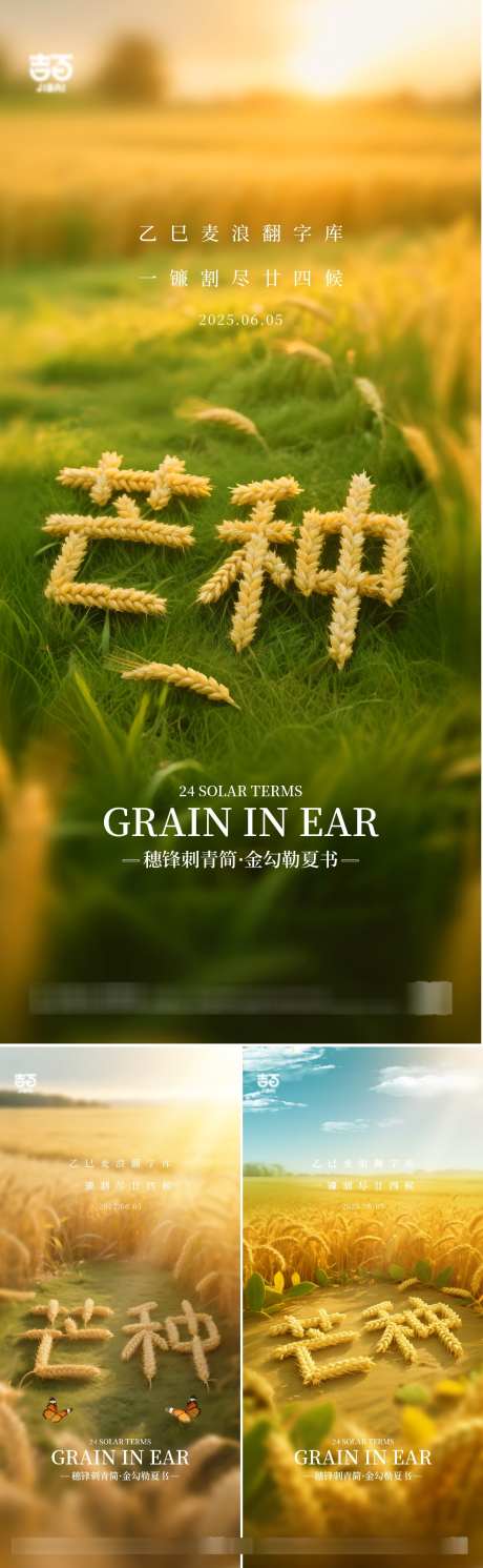 芒种节气海报_源文件下载_AI,PSD格式_1083X3511像素-芒种,海报,节气-作品编号:2025052809536434-志设-zs9.com