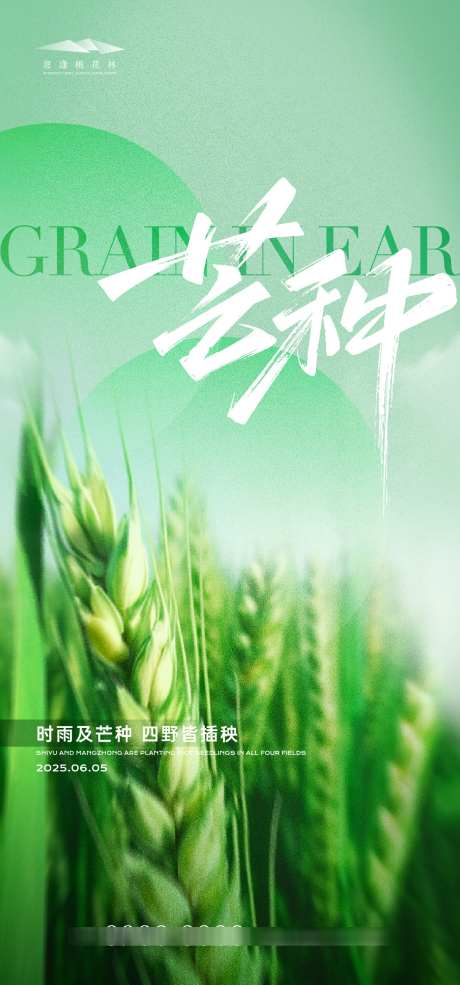 芒种节气海报_源文件下载_AI格式_1333X2855像素-收割,劳作,芒种-作品编号:2025052810073323-志设-zs9.com