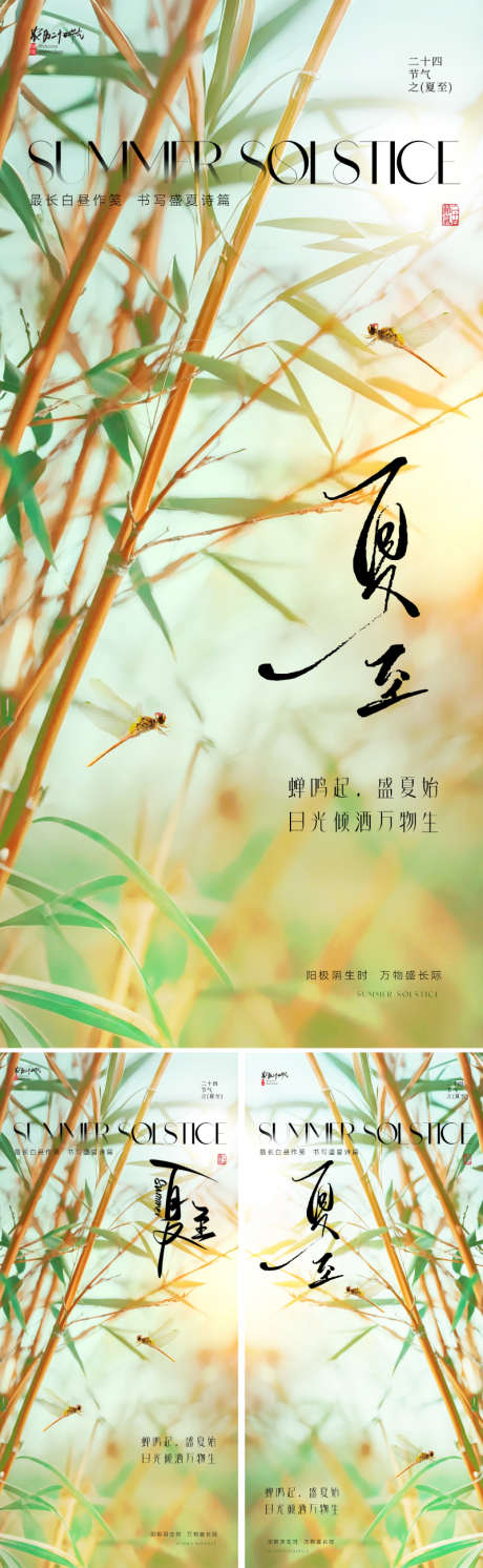 地产美业夏至节气海报_源文件下载_PSD格式_800X2595像素-树叶,文艺,大气-作品编号:2025052811125715-志设-zs9.com