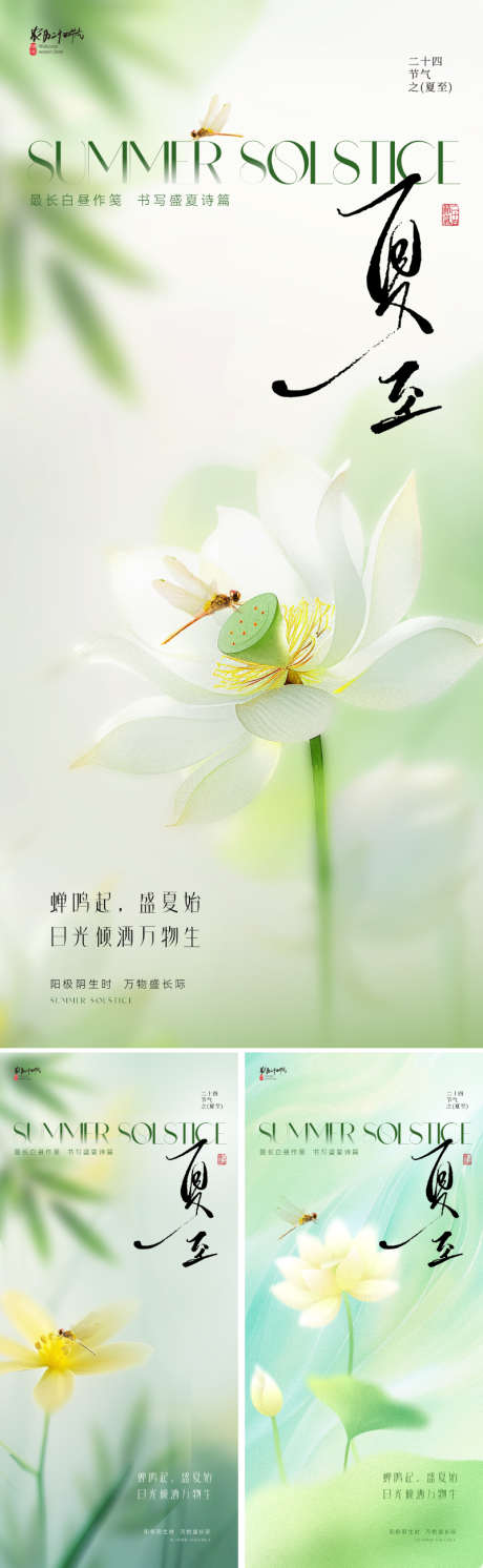 地产美业夏至节气海报_源文件下载_PSD格式_800X2595像素-设计感,质感,高级-作品编号:2025052811168714-源文件库-ywjfx.cn