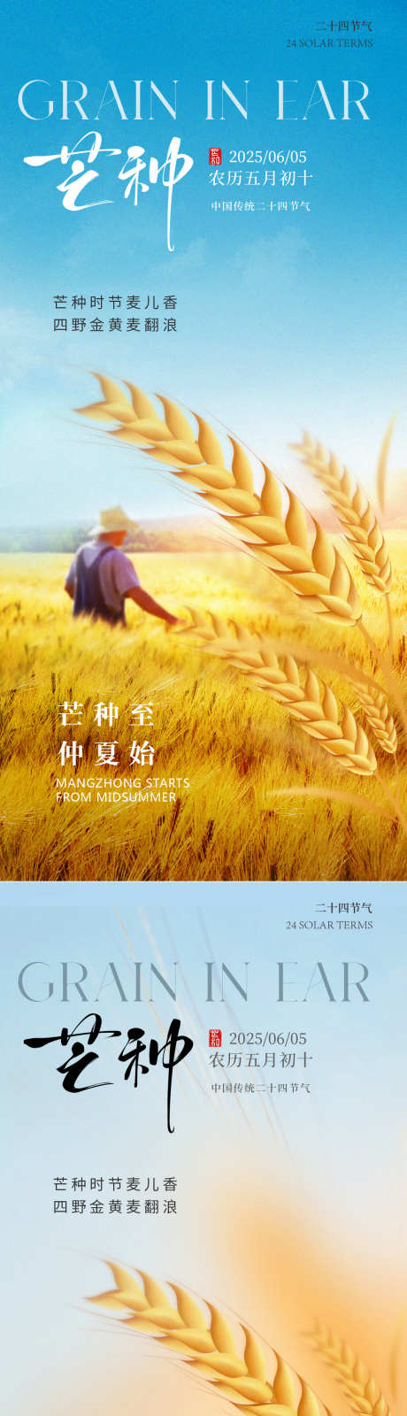 芒种麦穗节气海报_源文件下载_PSD格式_1125X4874像素-麦穗,节气,海报-作品编号:2025052811527560-志设-zs9.com