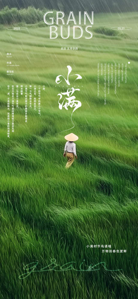 二十四节气小满海报_源文件下载_PSD格式_1125X2436像素-二十四节气,草地,农夫-作品编号:2025052814008562-志设-zs9.com