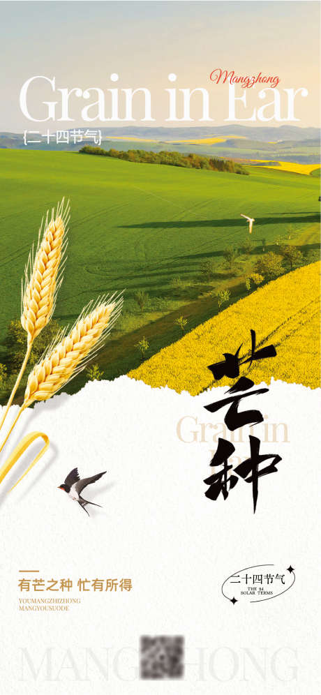 地产芒种节气_源文件下载_AI格式_1284X2780像素-创意,节气,芒种-作品编号:2025052814195901-志设-zs9.com