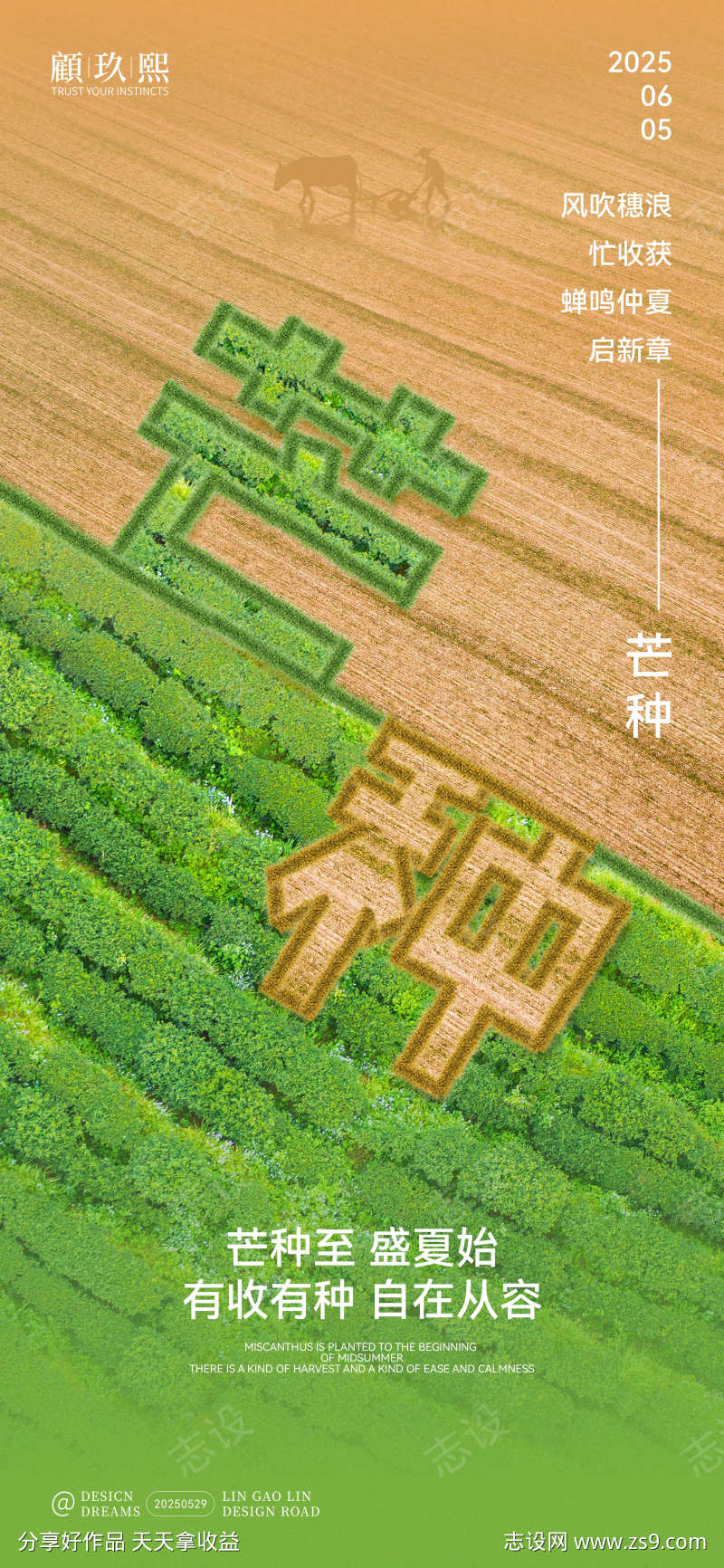 芒种收获种植创意海报