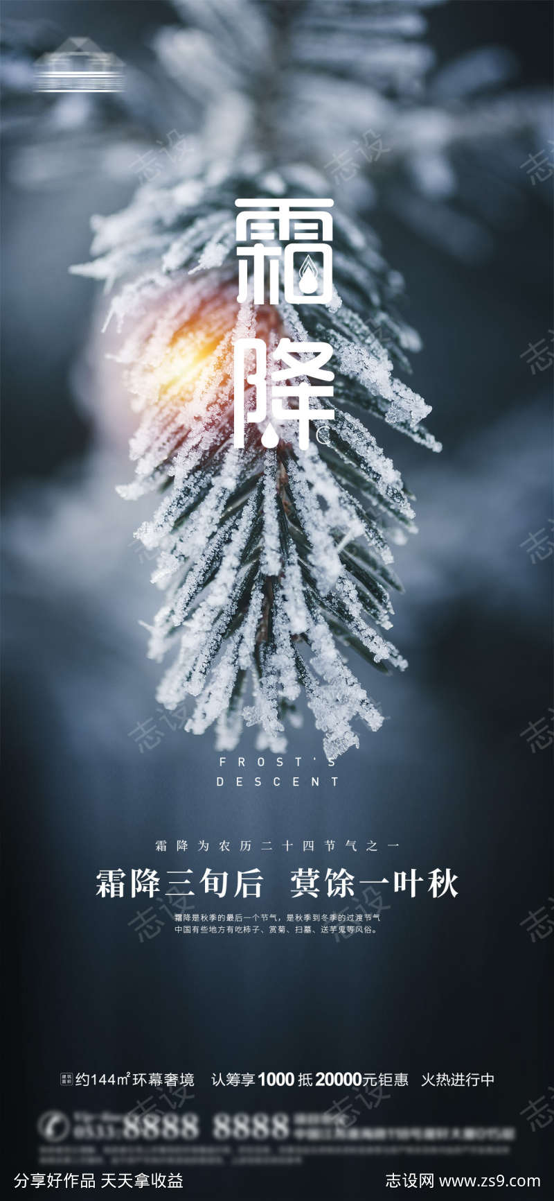 霜降节气海报