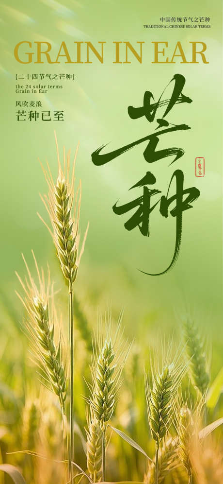 芒种节气海报_源文件下载_PSD格式_1242X2688像素-丰收,麦穗,麦子-作品编号:2025052917207909-志设-zs9.com