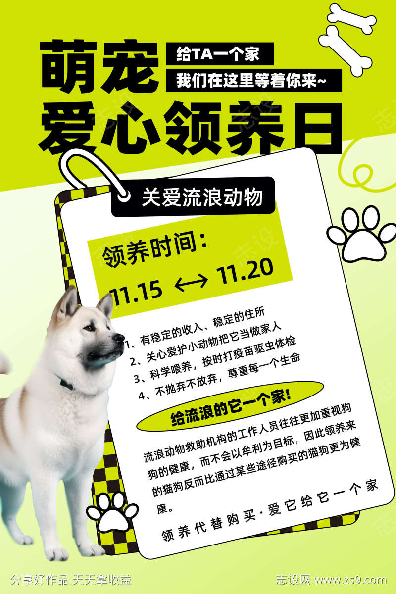 萌宠爱心领养日