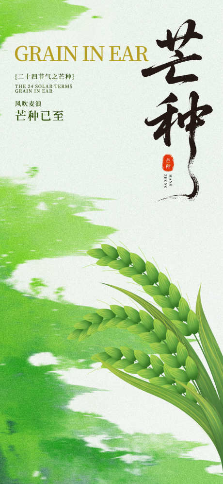 芒种节气海报_源文件下载_PSD格式_1242X2688像素-丰收,麦穗,麦子-作品编号:2025053016506655-志设-zs9.com