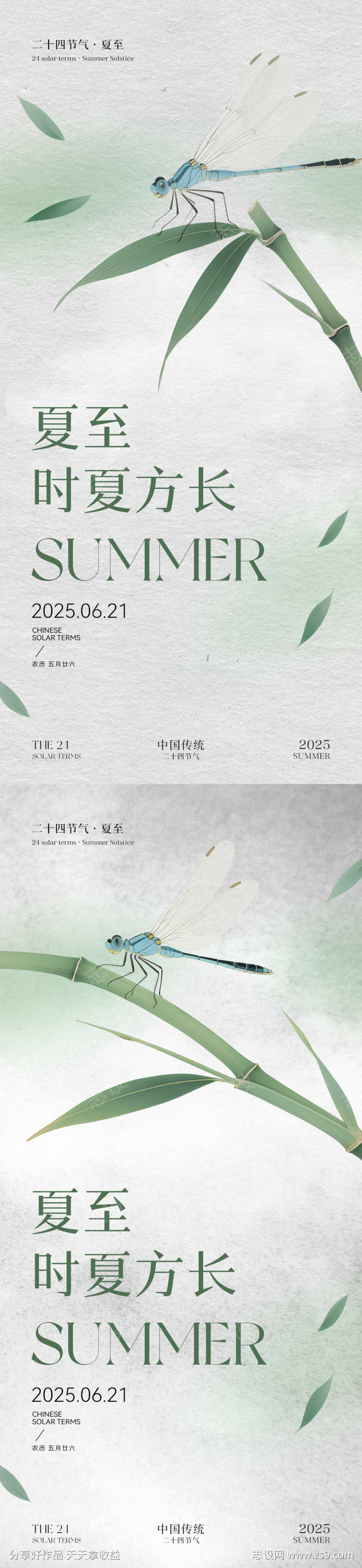 夏至节气系列海报