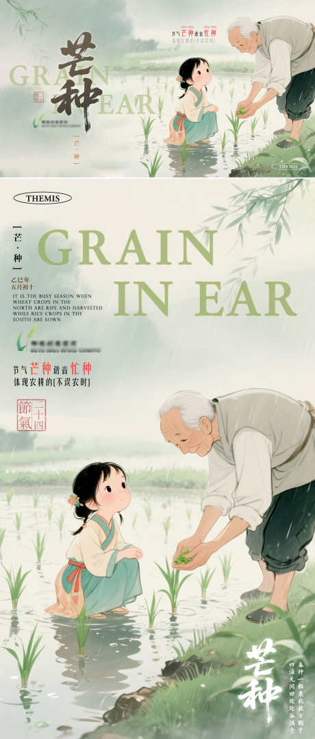芒种节气水墨淡彩农耕公益海报_源文件下载_PSD格式_1800X4220像素-公益,绿色,农耕-作品编号:2025060109558513-志设-zs9.com