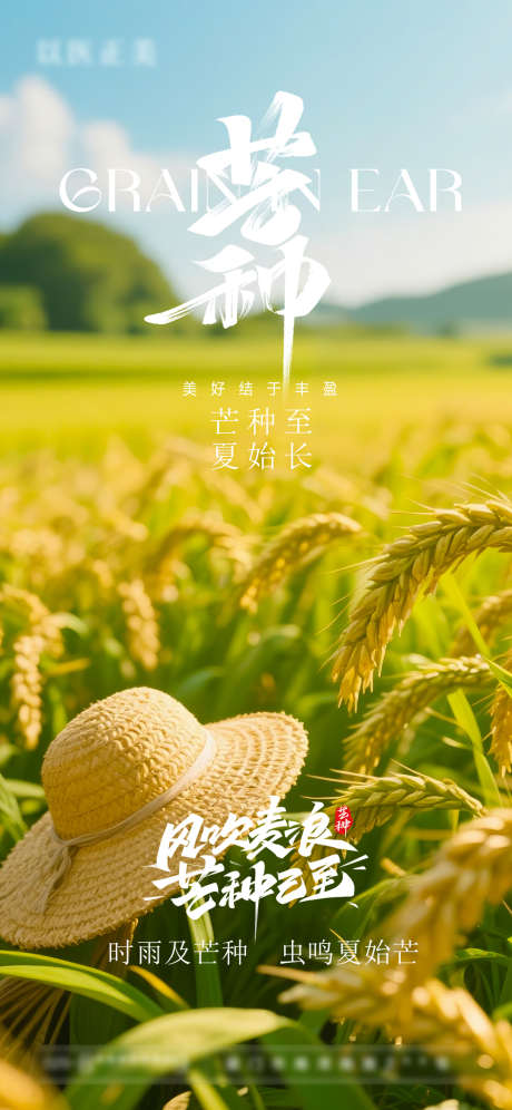 芒种节气海报_源文件下载_PSD格式_1080X2338像素-海报,节气,芒种-作品编号:2025060116233975-志设-zs9.com