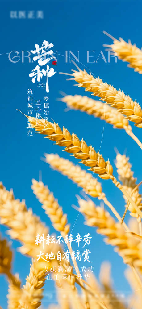 芒种节气海报_源文件下载_PSD格式_1080X2338像素-麦穗,节气,芒种-作品编号:2025060116306116-志设-zs9.com