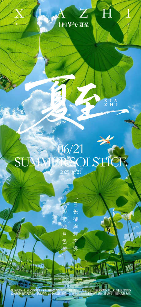 夏至宣传海报_源文件下载_AI格式_1080X2340像素-高端,夏天,二十四节气-作品编号:2025060116442292-志设-zs9.com