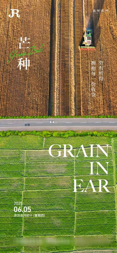芒种田野节气海报_源文件下载_PSD格式_1125X2436像素-图形,麦田,插画-作品编号:2025060213072514-志设-zs9.com