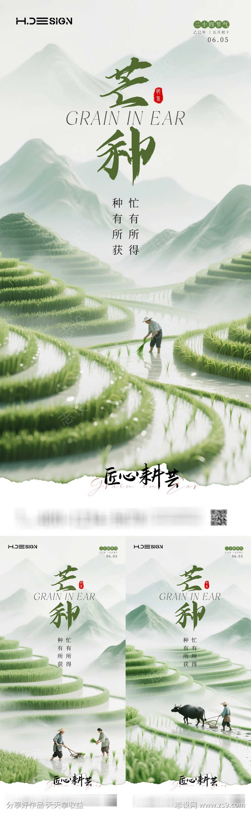 芒种简约大气海报