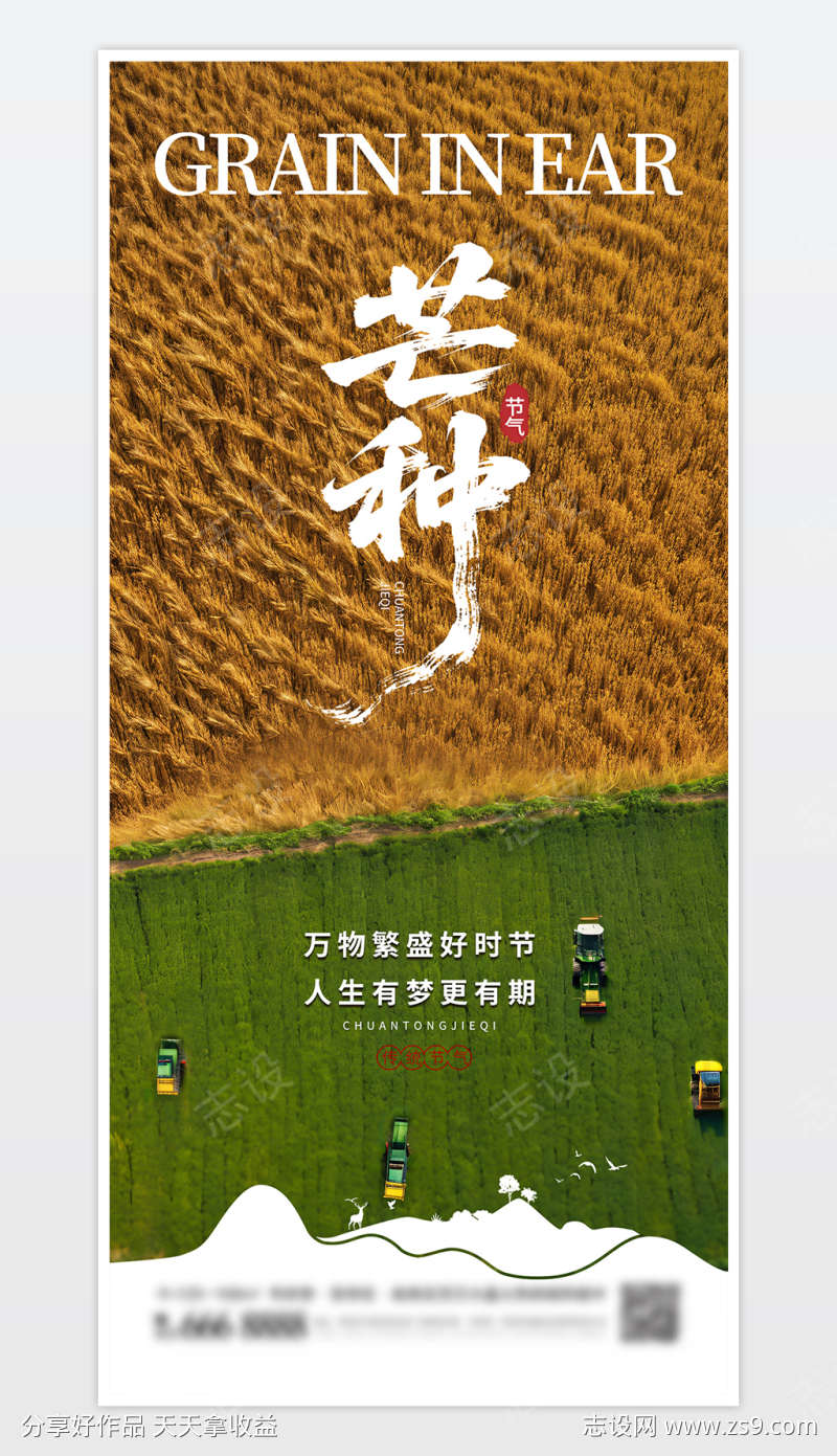 中国传统二十四节气芒种海报