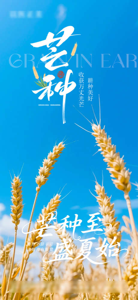 芒种节气海报_源文件下载_PSD格式_1080X2338像素-海报,节气,芒种-作品编号:2025060316023757-志设-zs9.com