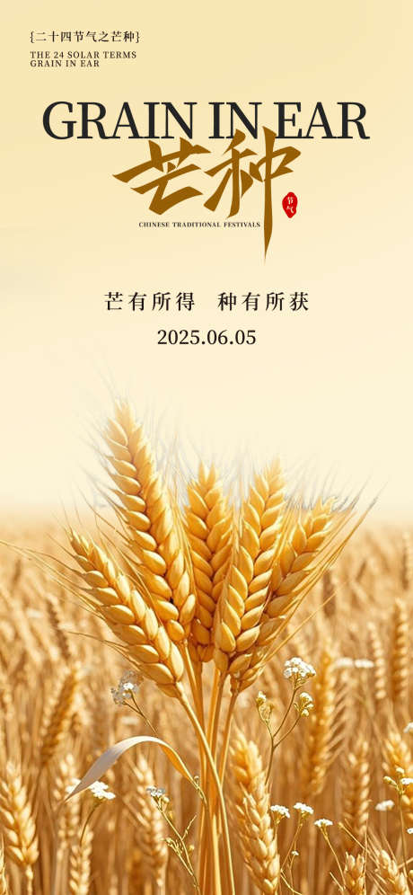 芒种节气海报_源文件下载_PSD格式_1242X2688像素-丰收,麦穗,麦子-作品编号:2025060409414966-志设-zs9.com