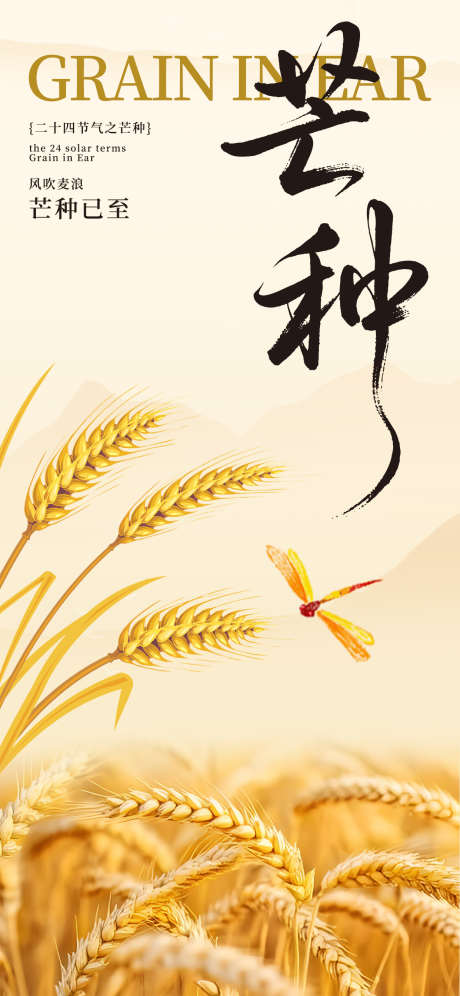 芒种节气海报_源文件下载_PSD格式_1242X2688像素-丰收,麦穗,节气-作品编号:2025060409415900-志设-zs9.com