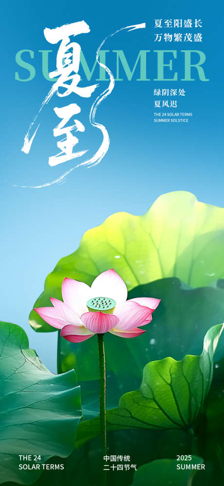 夏至节气海报_源文件下载_PSD格式_1242X2688像素-海报,荷叶,荷花-作品编号:2025060409592490-志设-zs9.com