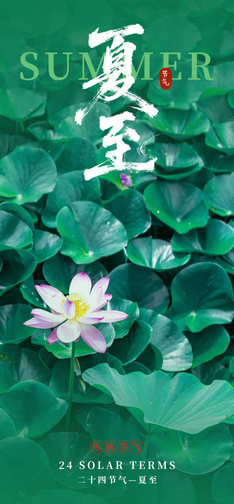 夏至节气海报_源文件下载_PSD格式_1248X2688像素-荷花,夏天,二十四节气-作品编号:2025060409577445-志设-zs9.com