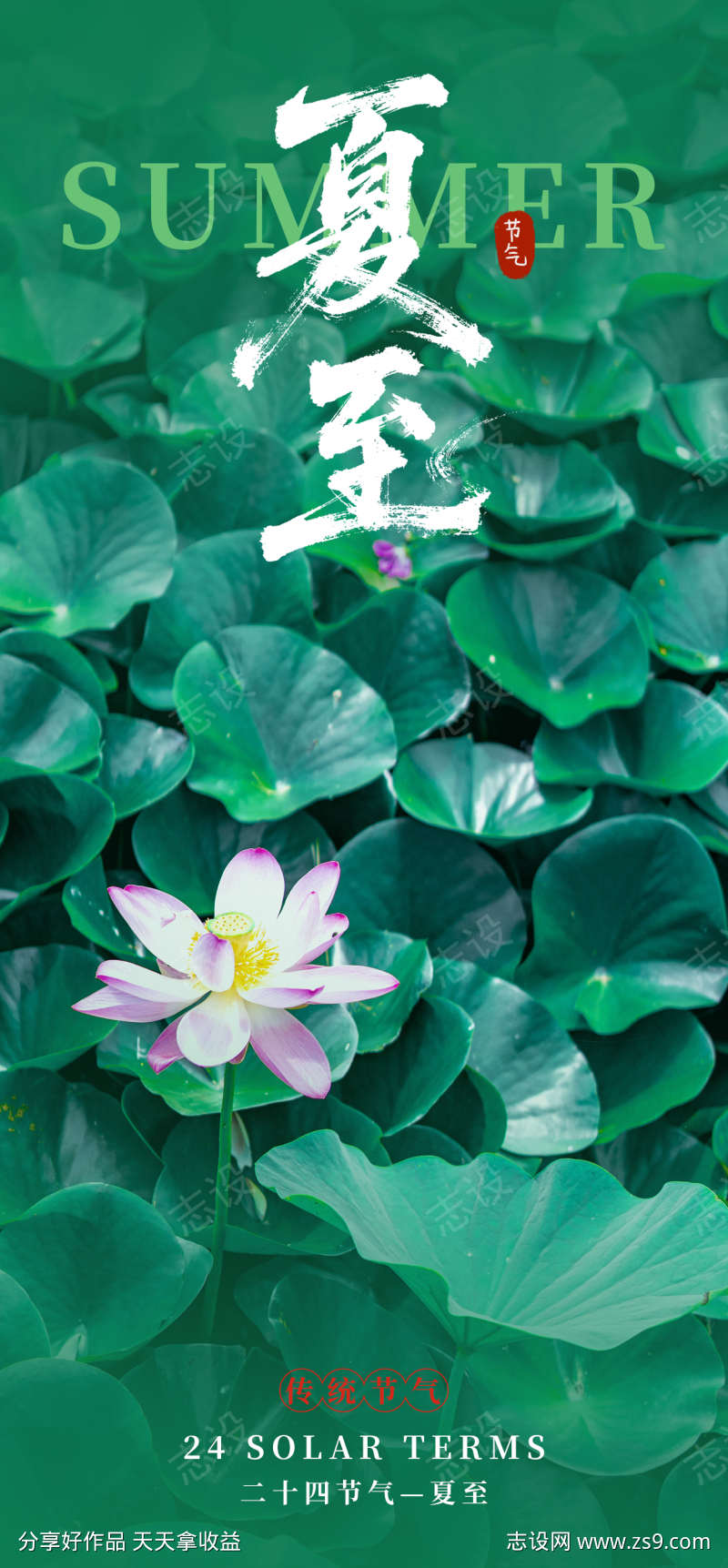夏至节气海报