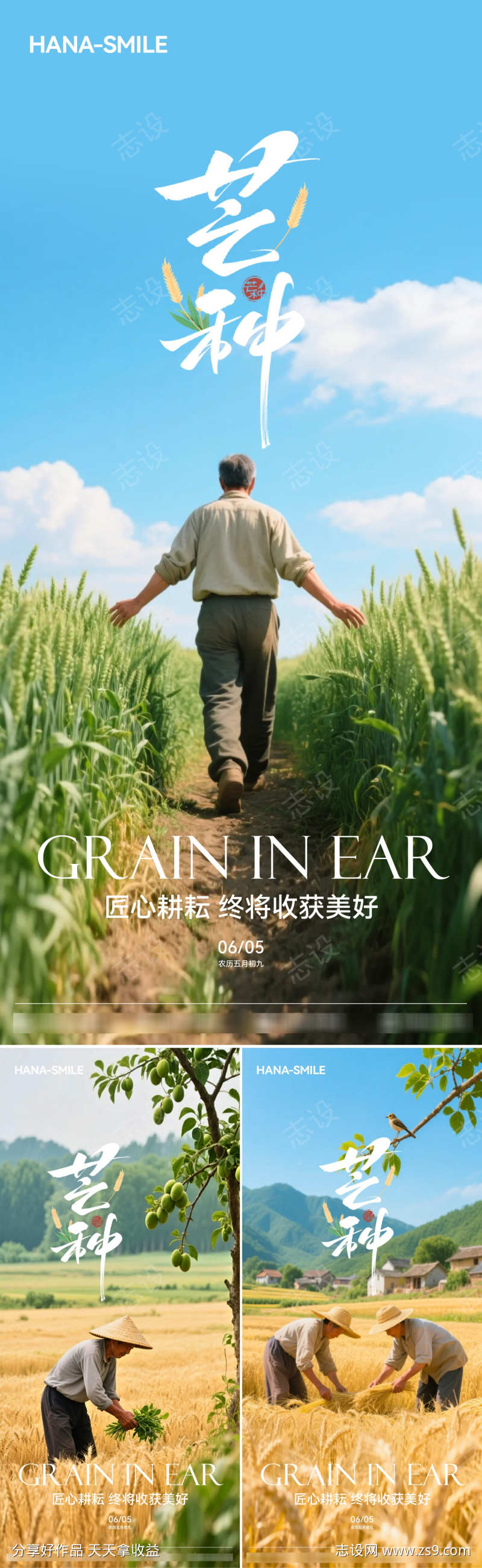 芒种系列海报