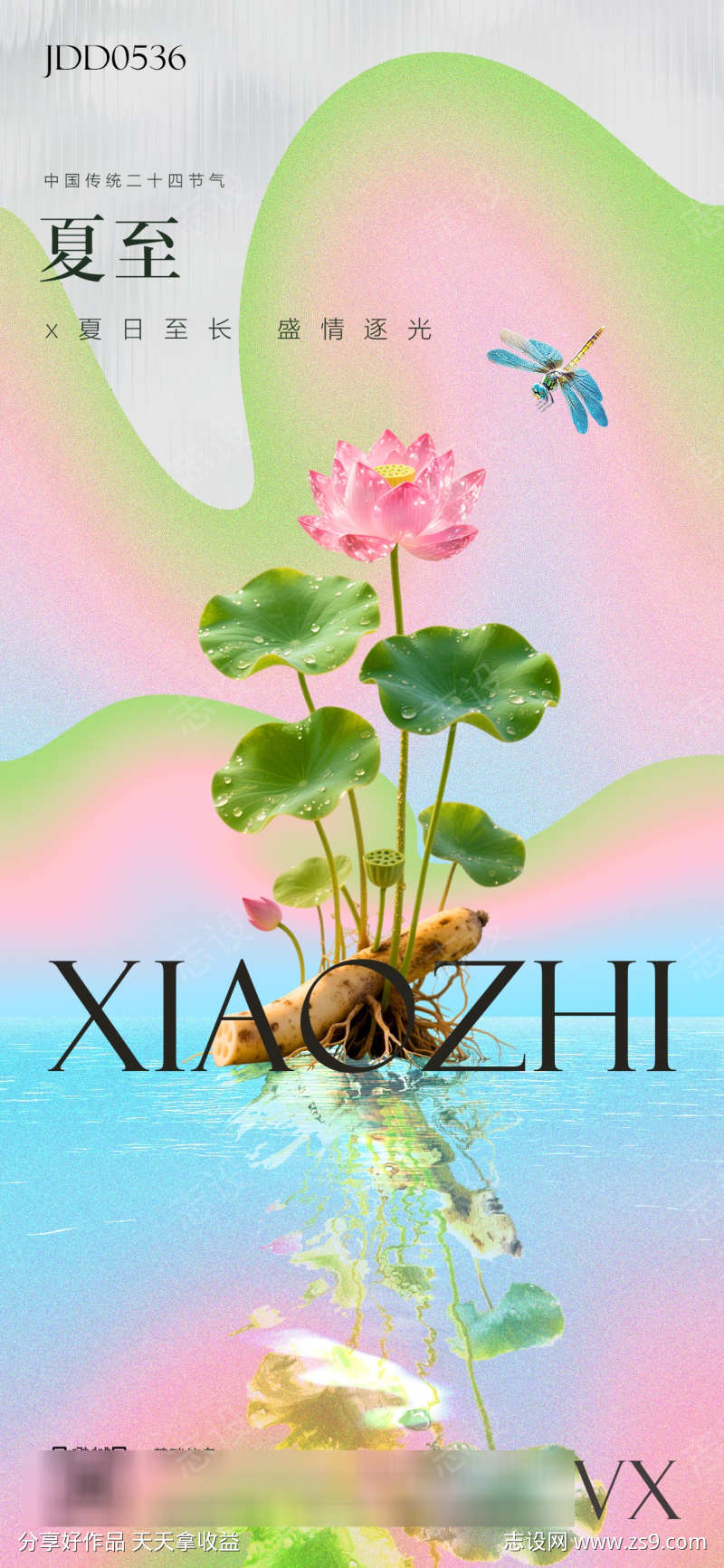 夏至荷花蜻蜓