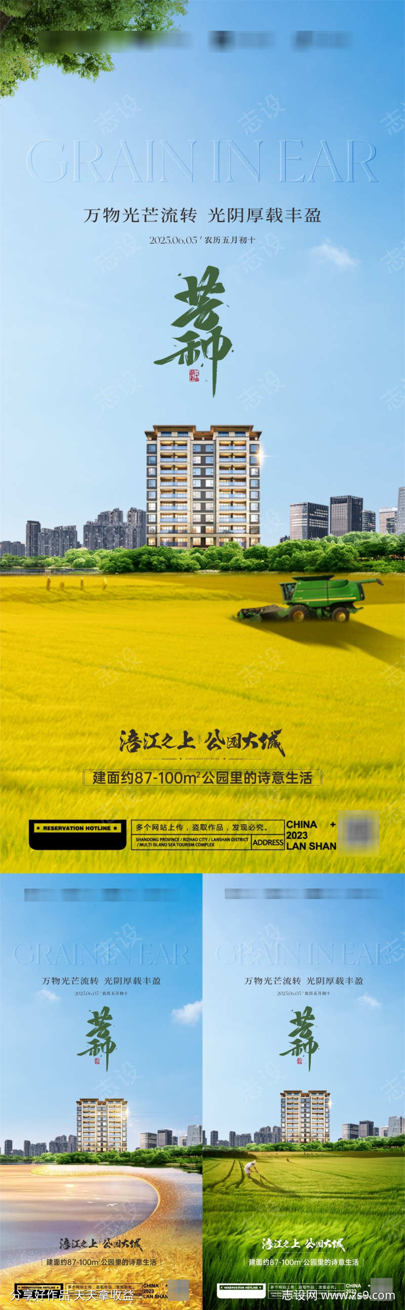 芒种海报系列