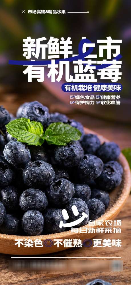2025蓝莓水果促销摄影图海报_源文件下载_PSD格式_1080X2340像素-促销,海报,上市-作品编号:2025060411469265-志设-zs9.com