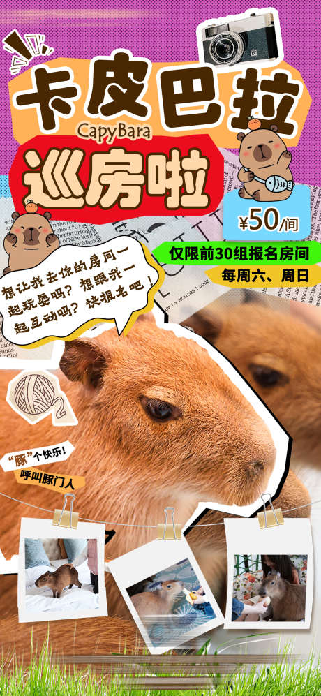 水豚卡皮巴拉巡房活动_源文件下载_PSD格式_1575X3412像素-萌宠,巡游,客房-作品编号:2025060411033349-志设-zs9.com