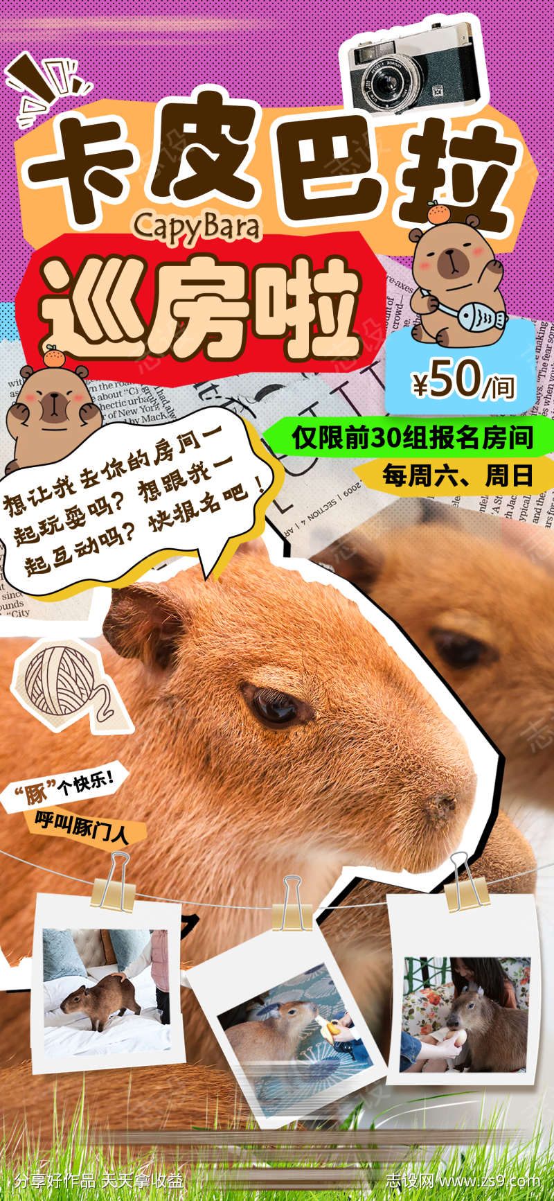 -设计导航-shejidh.cn