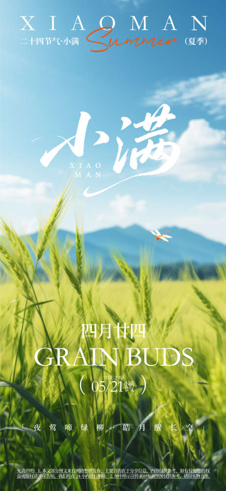 小满节气海报_源文件下载_AI格式_1080X2340像素-插秧,耕田,劳作-作品编号:2025060411247576-志设-zs9.com