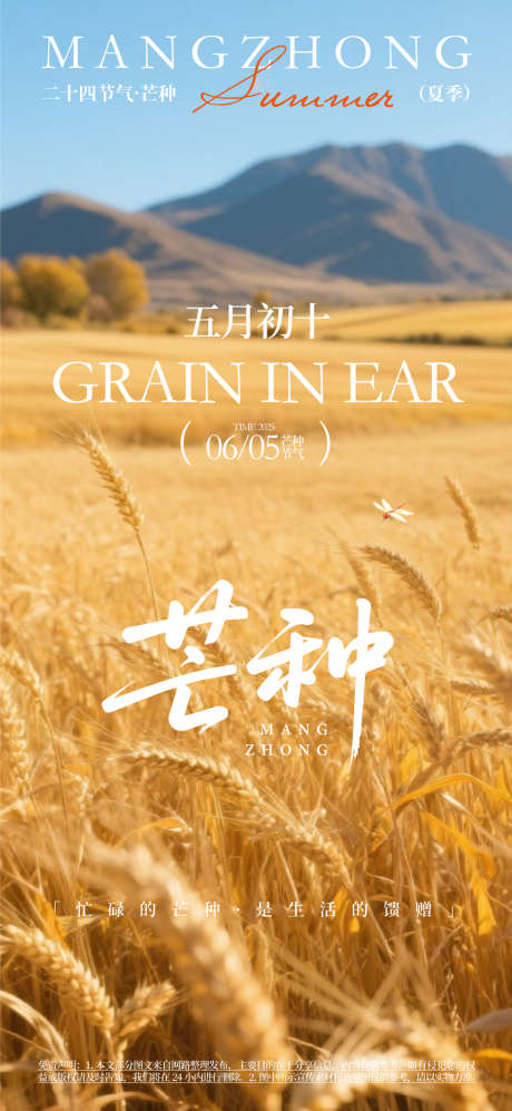 芒种节气海报_源文件下载_AI格式_1080X2340像素-节气,生机,插秧-作品编号:2025060411242494-志设-zs9.com