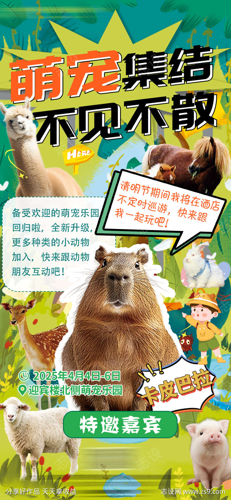 萌宠乐园动物园