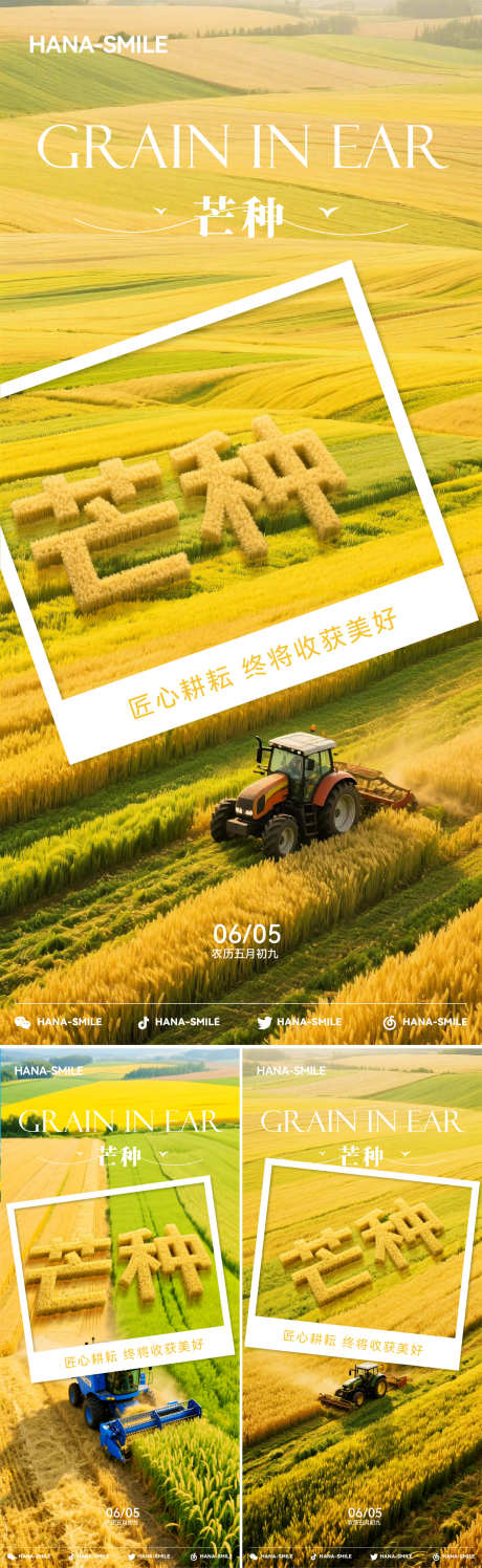 芒种系列海报_源文件下载_AI,PSD格式_1500X4877像素-收割机,田野,丰收-作品编号:2025060413181640-志设-zs9.com