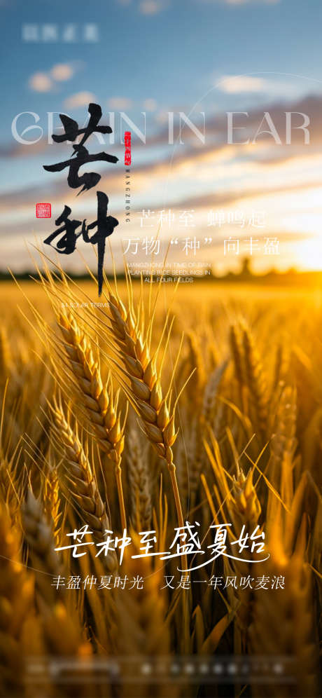 芒种节气海报_源文件下载_PSD格式_1080X2338像素-节气,芒种,麦穗-作品编号:2025060416442481-志设-zs9.com