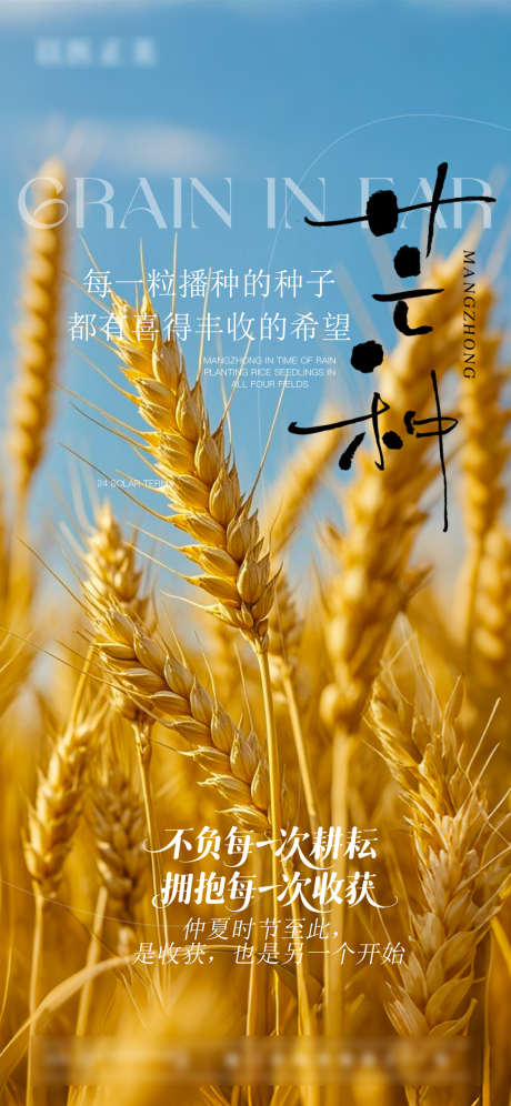 芒种节气海报_源文件下载_PSD格式_1080X2338像素-节气,芒种,夏天-作品编号:2025060417217434-志设-zs9.com
