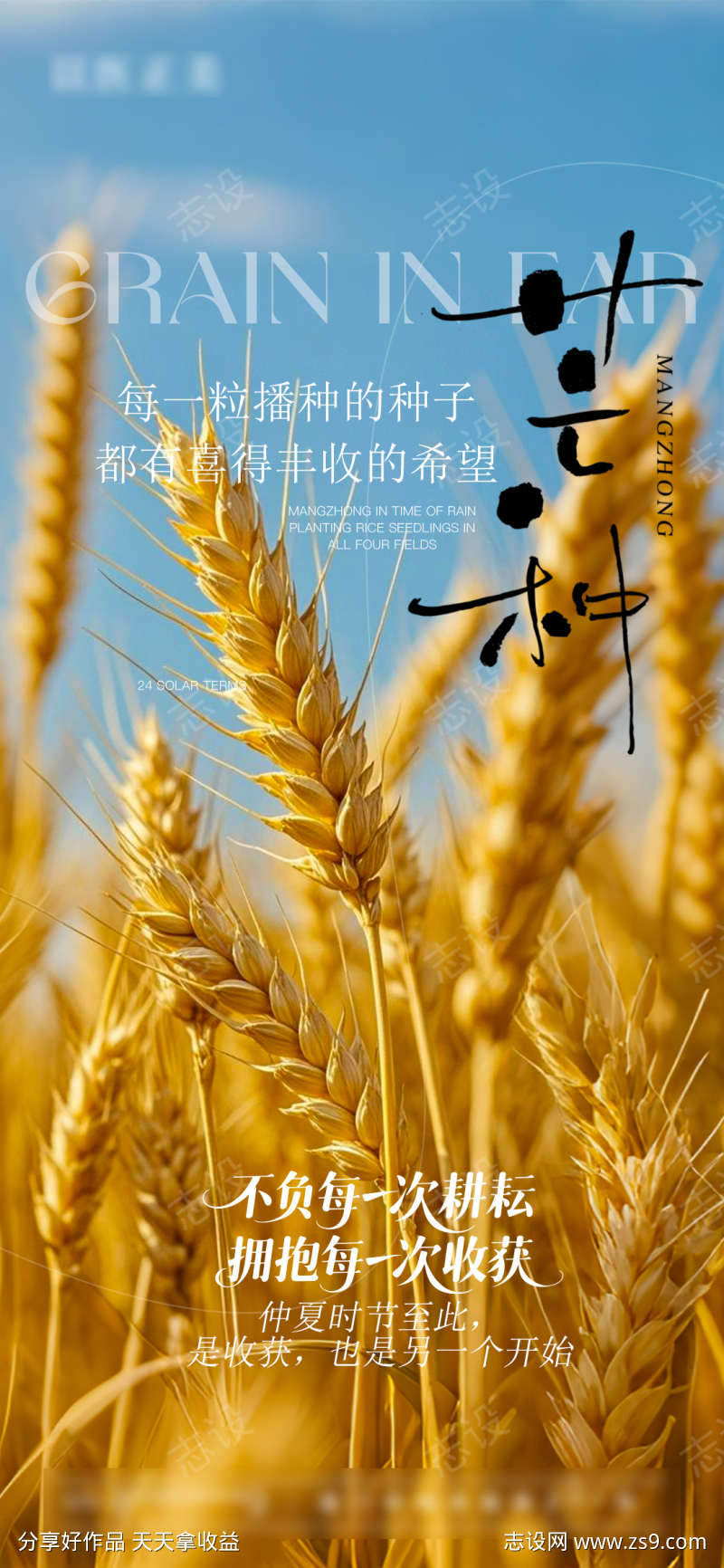 芒种节气海报